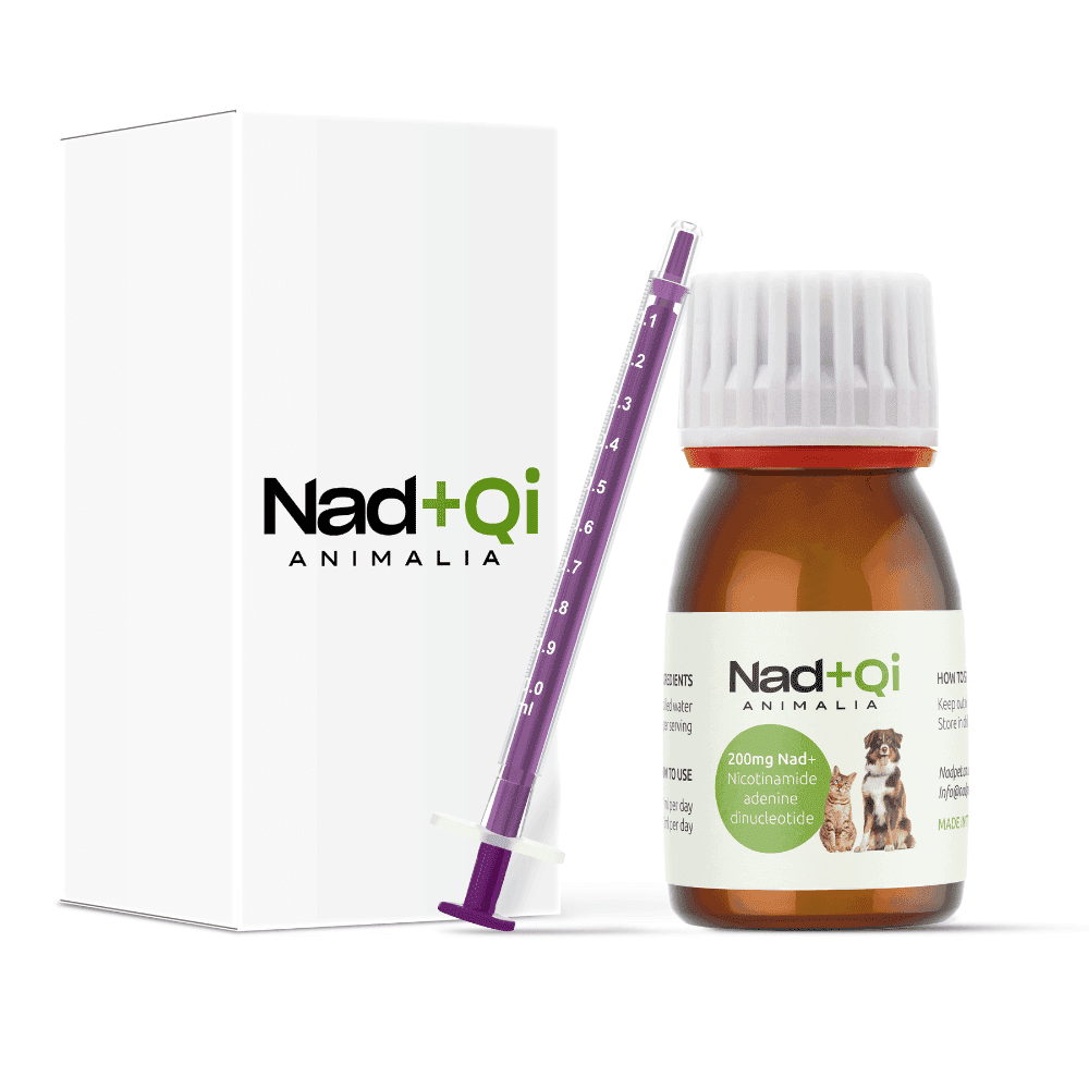 nad+qi-animalia-supplements-for-pets-1