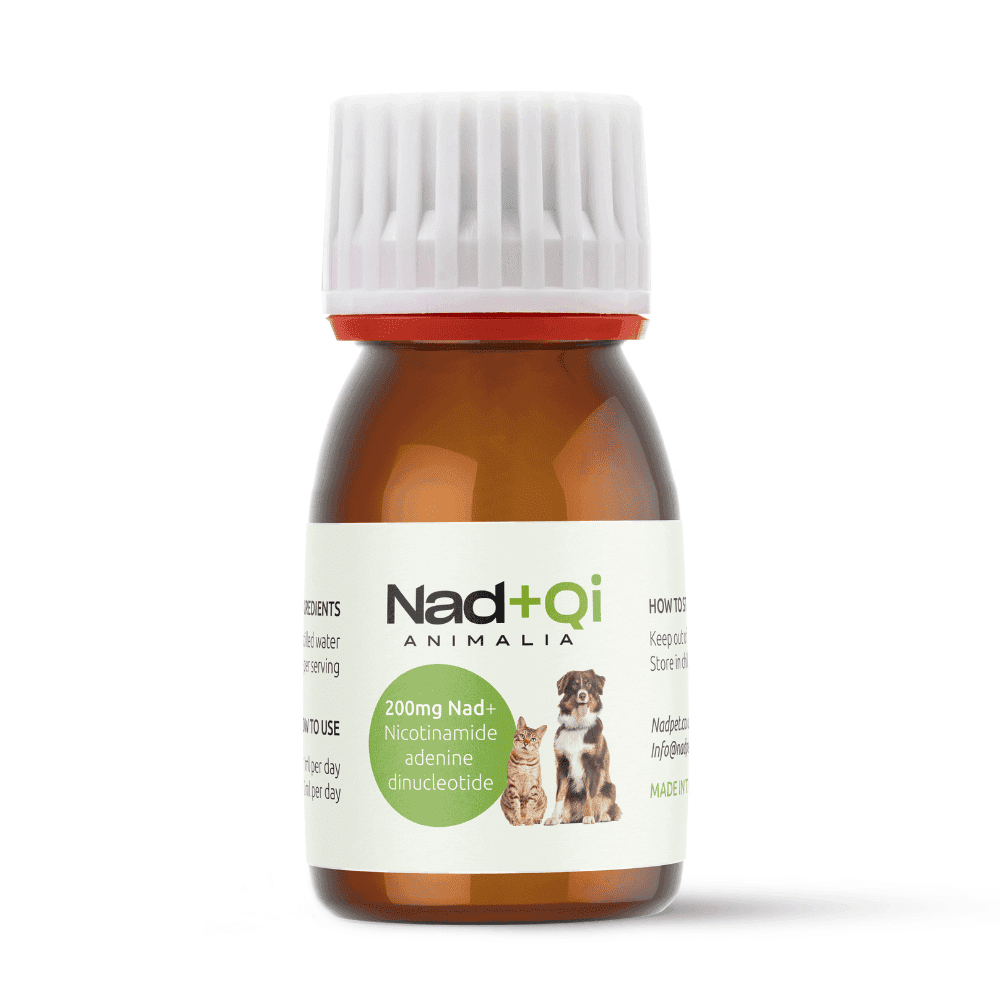 nad+qi-animalia-supplements-for-pets-bottle