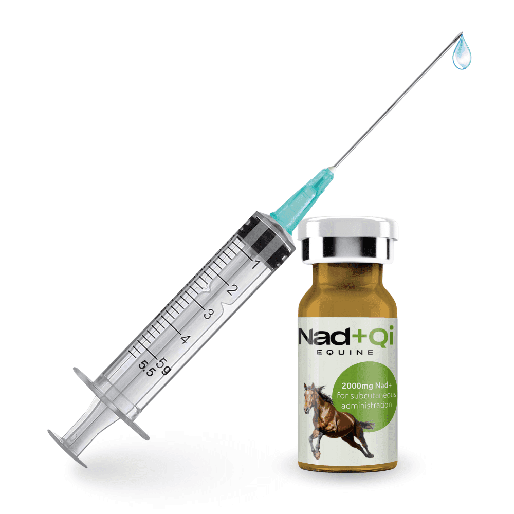 Nad+Qi-Equine-img-1 Nad+Qi Equine