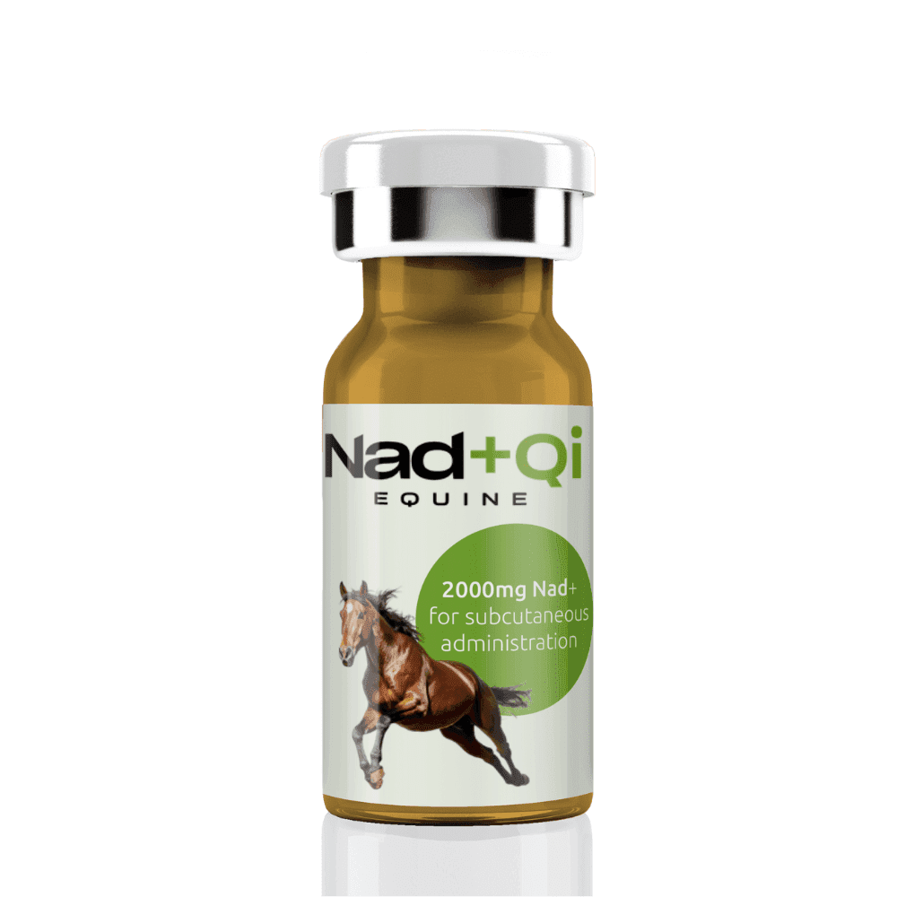 Nad+Qi-Equine-img-2 Nad+Qi Equine