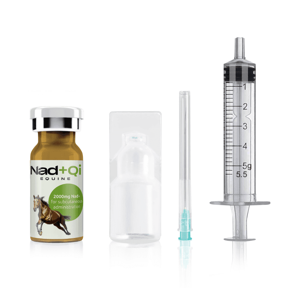 Nad+ for horses Nad+Qi Equine, nad+ for horses. Horse supplements